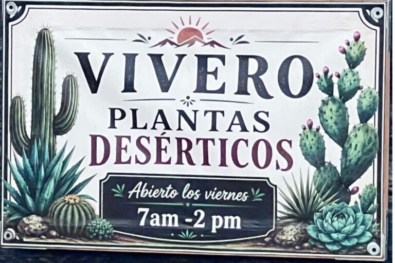 Frankies Drinks Menu Vivero Desertico 768x512
